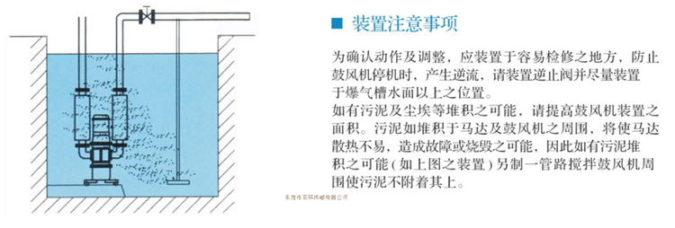 潛水羅茨鼓風(fēng)機(圖11)